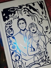 Omen of Ice by Jus Accardo Owlcrate Exclusive Signed First Edition novel, New