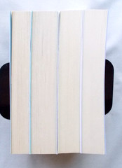 Elena Ferrante: The Neapolitan Novels, Volumes 1-4 TPB/VGC
