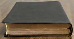 ESV Large Print Thinline Bible (Black Genuine Leather)