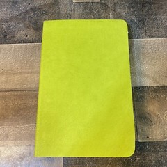 Biblia de referencia visual verde limon/ Visual Reference Bible Lime Green: NBD