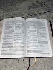 The Evidence Study Bible Ray Comfort Bridge-Logos Brown Faux Leather KJV 2003