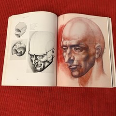 DYNAMIC ANATOMY: REVISED AND EXPANDED by Burne Hogarth—LIKE NEW