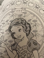 Coloring Book Mixed Lot Of 5 Disney Animals, Dollhouse, Retro, Birds And Insects