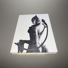Batman: Arkham City Signature Series Guide by BradyGames
