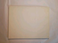 Plantae Occidental 1979 200 Years Of Botanical Art In British Columbia (658)