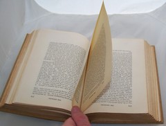 Redskins / Wept of Wish-Ton-Wish ~ J. Fenimore Cooper HC 190?