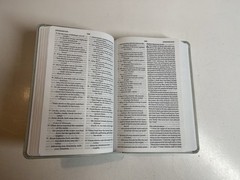ESV Large Print Value Thinline Bible (Trutone, River Stone, Branch Design)