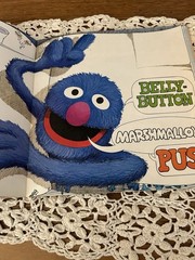 Vintage 1976 CTW Sesame Street Hide & Seek Grover Book Children