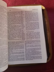 NIV Study Bible 1985 Blue Hardcover 1984