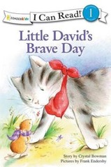 Little Davids Brave Day (I Can Read Little David Series) – Paperback – GOOD