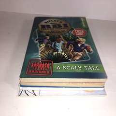 Childrens Chapter Books Lot of 4 Bundle Ages 6-10 Kids Reading Homeschool