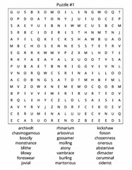UNUSUAL WORD SEARCH BOOK | 8.5X11 INCHES | 75 PUZZLES