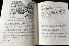 2 Hawaii Juv History BEHOLD HAWAII and HAWAII NEI Julie Stewart Williams 1999