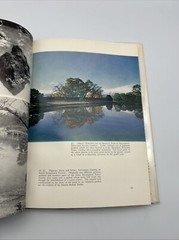 Typical Japanese Gardens Illustrated Hardcover by Osamu Mori 1st Edition 1962