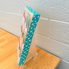 The Do-Over by Lynn Painter (Barnes & Noble Exclusive Edition w/ Sprayed Edges)