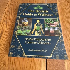 Holistic Guide to Wellness & Lost Book of Herbal Remedies Paperback