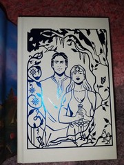 Omen of Ice by Jus Accardo Owlcrate Exclusive Signed First Edition novel, New