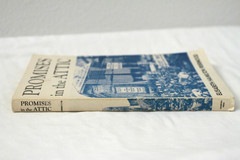 Promises in the Attic by Elisabeth Hamilton Friermood (1975, PB)