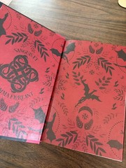 On Wings of Blood The Bond That Burns Bloodwing Academy 1 + 2 Briar Boleyn DJ HC