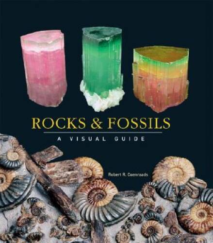 Rocks and Fossils: A Visual Guide (Visual Guides) – Hardcover – VERY GOOD