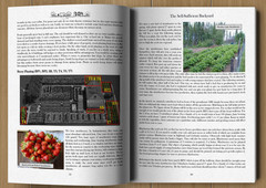 The Self-Sufficient Backyard by Ron & Johanna Melchiore Paperback Book