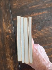 DTV Deutscher Taschenbuch Verlag – CORNELIUS NEPOS – Vitae PLAUTUS – Mostellia