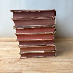 Rick Brant Series John Blaine 1940s Grosset & Dunlap 7 Books Set