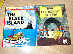The Adventures of Tintin Complete Collection 24-Book Set English Ed. Paperback