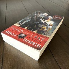 The Lady of the Lake (The Witcher) – Paperback By Sapkowski, Andrzej – GOOD