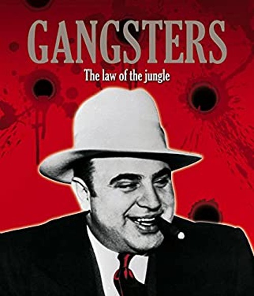 Gangsters Hardcover Michael Newton