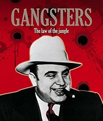 Gangsters Hardcover Michael Newton