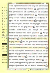 Tajweed Qur’an (Whole Qur’an, With Meaning Translation and Transliteration)