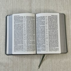 2013 New World Translation Of The Holy Scriptures – Watch Tower Bible Society