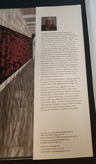 WARTIME QUILTS by Annette Gero – & Appliques from Military Fabrics, Quilting 05
