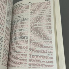 Holy Bible Dove Of Peace Edition KJV Illustrated White Hardcover Faux Leather
