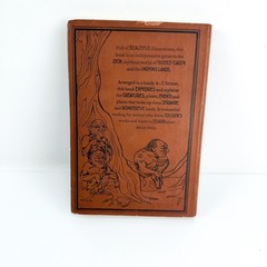 TOLKIEN A Dictionary – David Day Illustrated Guide Flexi Bound Faux Leather