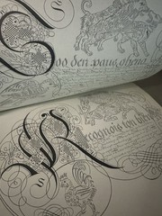 MASTER ALBUM OF PICTORIAL CALLIGRAPHY AND SCROLLWORK: AN By Baldri Van Horicke