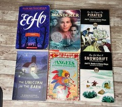 Lot of 28 Grade 3-6 Chapter Books Novels 14lbs / 39 Clues, ECHO , School of Fear