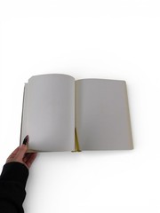 Grimoire Arin Murphy-Hiscock Adams Media Black Gold HC Witchcraft Magic Journal