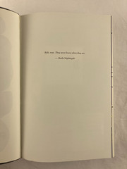 The Familiar Volume 1 One Rainy Day in May Mark Z. Danielewski 1st Ed. 1st Print