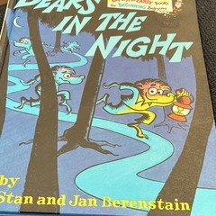 Berenstain Bears hardcover Book Lot of 8 Stan & Jan Berenstain Illustrated