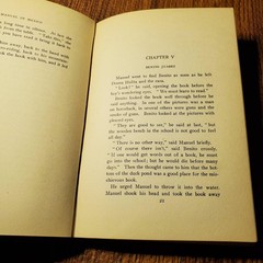 Manuel in Mexico McDonald Dalrymple 1910 Illustrated Little Brown