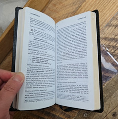 OOP HCSB UltraTrim New Testament w Psalms/Proverbs Checkbook size Bonded Leather