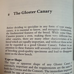 The Gloster Fancy Canary – Guide To Keeping, Breeding N.J. Barrett + C.Blackwell