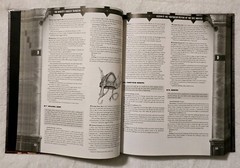 The World’s Largest Dungeon NO MAP 840 Pages NO MAP Jim Pinto Dungeons & Dragons
