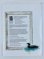 Making Minnesota – A Kids Activity Book. 45 Pages Paperback by Patricia Bauer