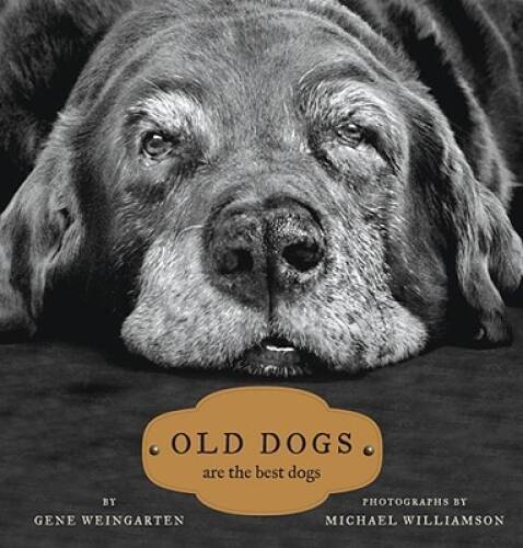 Old Dogs: Are the Best Dogs – Hardcover By Weingarten, Gene – VERY GOOD