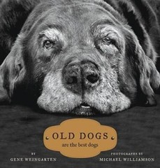 Old Dogs: Are the Best Dogs – Hardcover By Weingarten, Gene – VERY GOOD