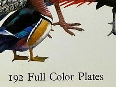 World Of Birds: New & Revised Ed. by James Fisher & Roger Tory Peterson HC w/ DJ