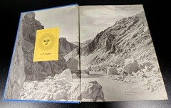 Tutankhamen Book History Life Death of a Pharaoh Christiane Desroches-Noblecourt